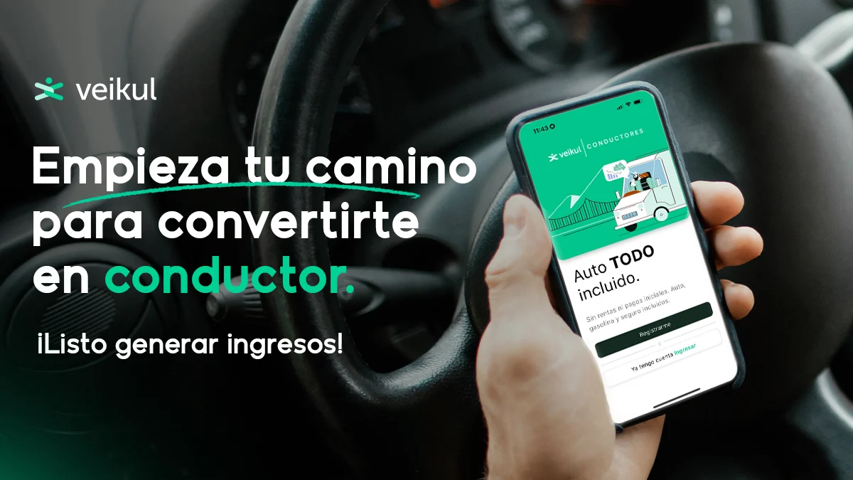 Pantalla de registro de la app Veikul